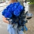 15 синих LUX роз Эквадор (70 см) в Орехово-Зуево