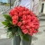 Букет 51 роза коралл (60 см) в Орехово-Зуево