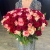 Букет 151 роза красный микс (50 см) в Орехово-Зуево