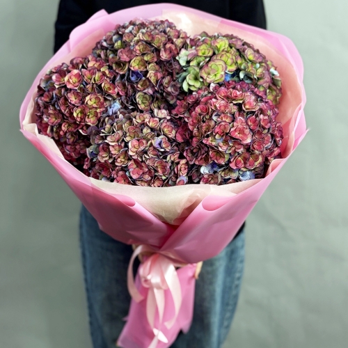 Букет из 5 космических Голландских гортензий в Орехово-Зуево