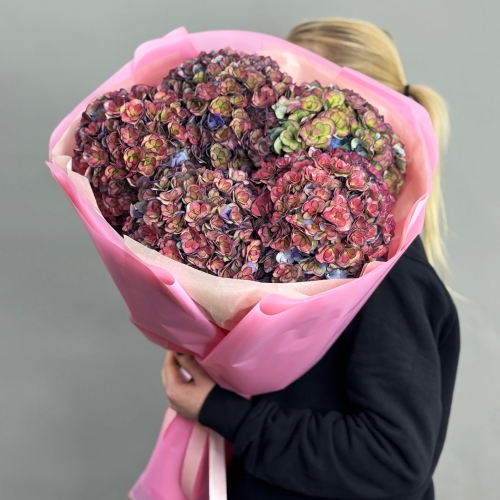 Букет из 5 космических Голландских гортензий в Орехово-Зуево